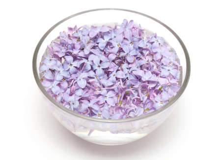 lilac flowers in a glass bowl with water isolated on white backgroundの写真素材