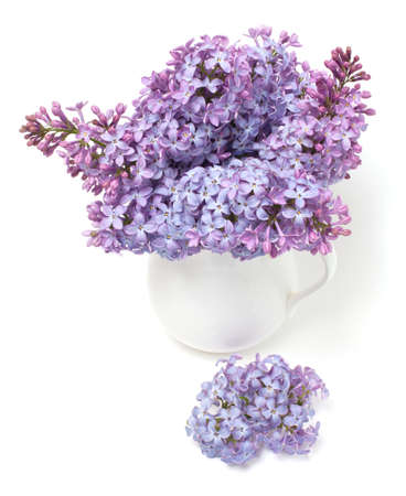 bouquet of lilac  isolated on white backgroundの写真素材