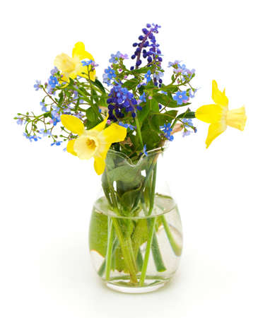 Bouquet of spring flowers on white backgroundの写真素材