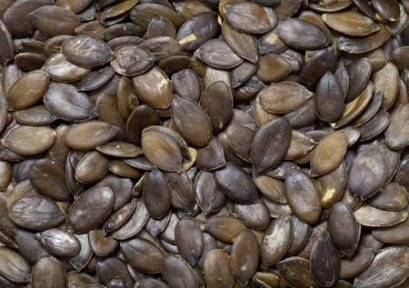 pumpkin seed