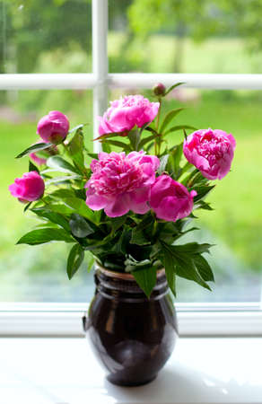 vase with peony flowersの写真素材