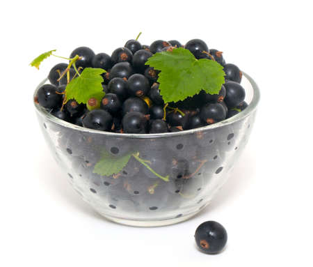 bowl with black currant over whiteの写真素材