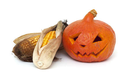 angry pumpkin and dired corn cobs on white backgroundの写真素材