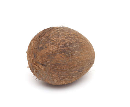 coconut on white background
