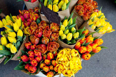 tulips on flower marketのeditorial素材