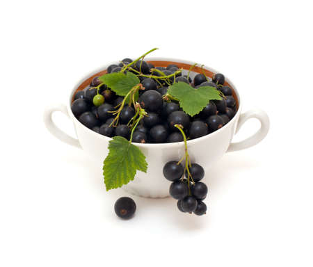 bowl with black currant over whiteの写真素材