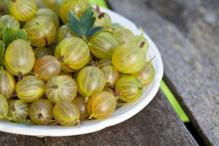 gooseberry on wooden tableの写真素材