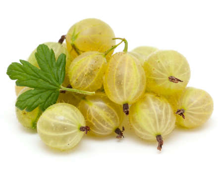 gooseberry isolated on whiteの写真素材