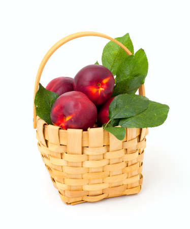 basket with nectarines isolated on white backgroundの写真素材