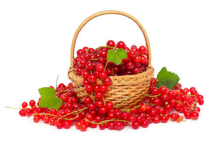 basket with red currant over white