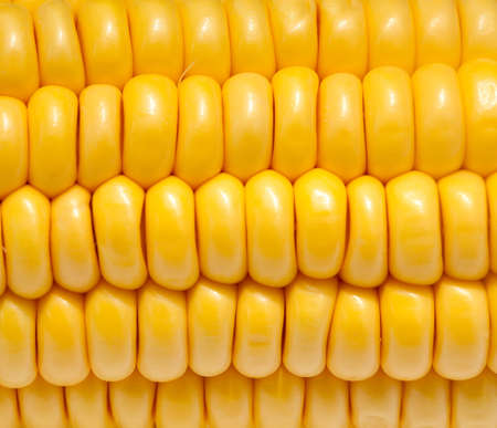 corn comb background