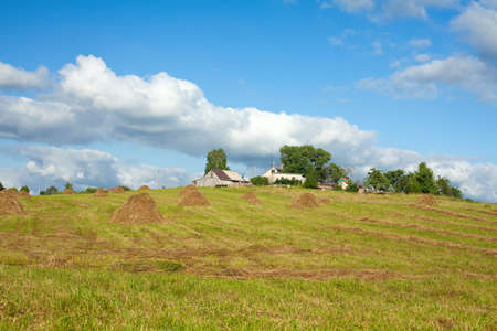 Field haystacks rural summer viewの写真素材