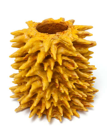 Sakotis (sekacz) is traditional cake in lithuanian and polish cuisineの写真素材