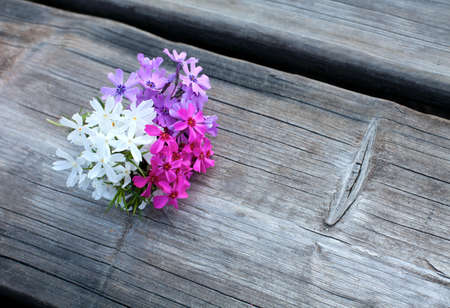 spring flowers on wooden surfaceの写真素材