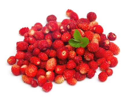 野苺の写真 イラスト素材一覧 21 9件 ストックフォトのamanaimages Plus 野苺の写真 イラスト素材一覧 21 9件 ストックフォトのamanaimages Plus