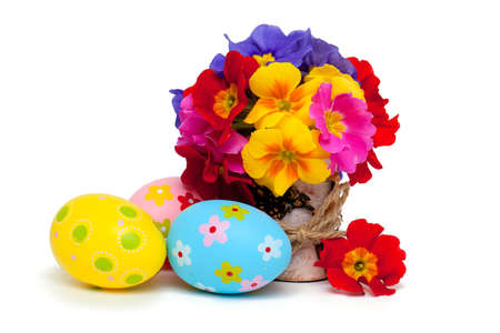 primala flowers and easter eggs isolated on white background