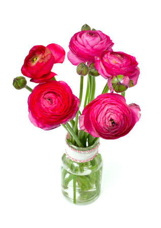 pink ranunculus in a glass vase