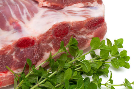 piece of pork ribs and marjoram herb isolated on white backgroundの写真素材