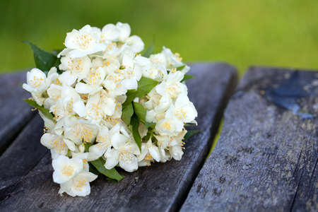 bouquet of jasmine flowers on wooden tableの写真素材