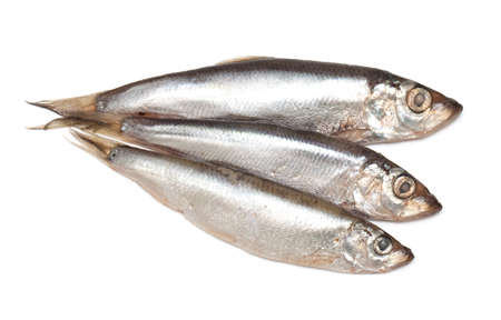 sprat fish isolated on white backgroundの写真素材