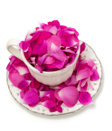 pink rose petals in a beautiful tea cupの写真素材