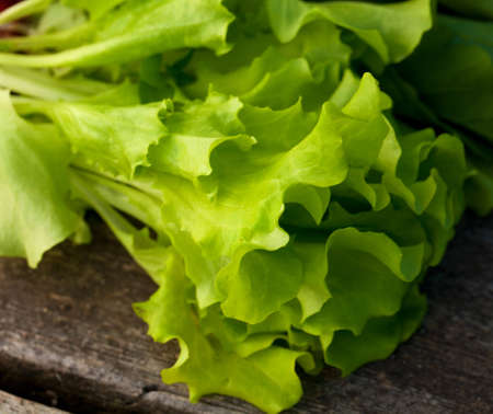 fresh lettuce on wooden tableの写真素材