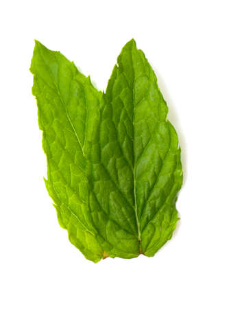 peppermint in a wooden mortar isolated on white background