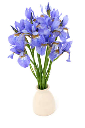 iris flowers in vase over whiteの写真素材