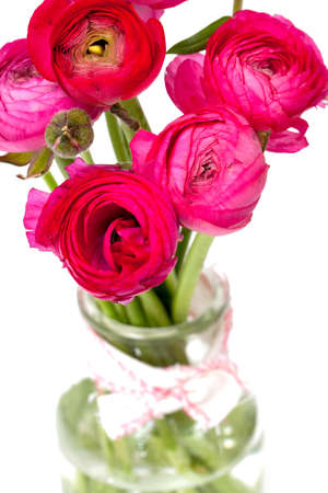 pink ranunculus in a glass vase