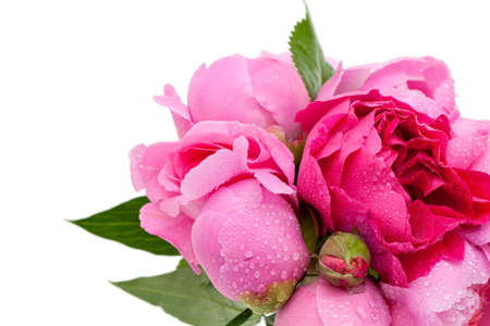 bouquet of roses and peoniesの写真素材