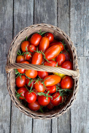 basket with fresh tomatoesの写真素材