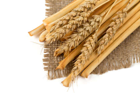 bread sticks and wheat on burlap 