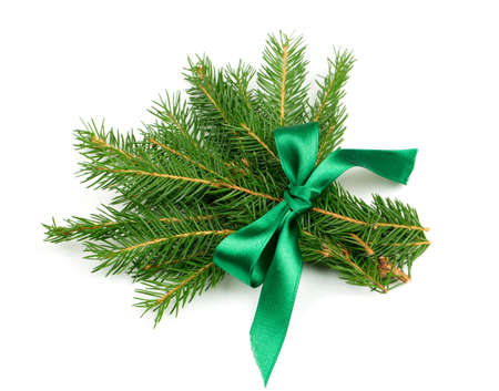 twigs of fir tree tied with a ribbon isolated on white backgroundの写真素材
