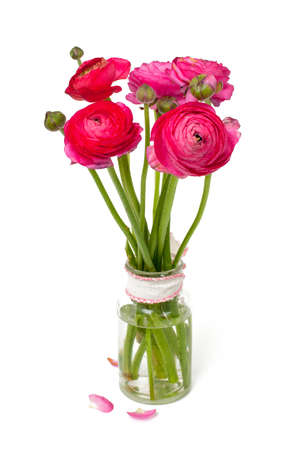 pink ranunculus in a glass vaseの写真素材
