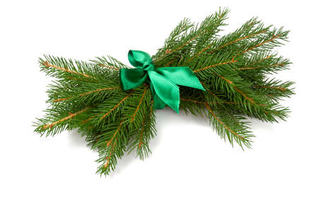 spruce and beautiful ribbonの写真素材