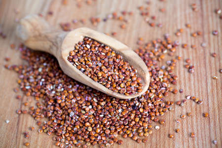 red quinoaの写真素材