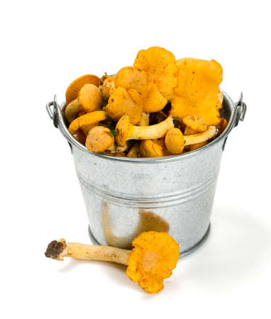 chanterelles in a glass bucket isolated on whiteの写真素材
