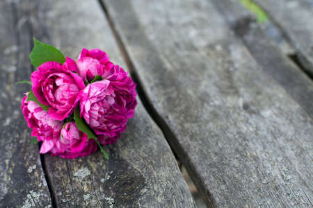 bunch of violet striped roses on wooden surfaceの写真素材