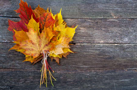 heap of maple leafs on wooden surfaceの写真素材