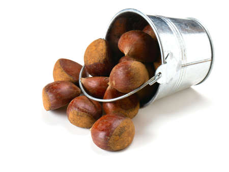 chestnuts isolated on white backgroundの写真素材