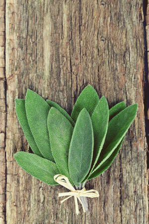 sage on wooden surfaceの写真素材