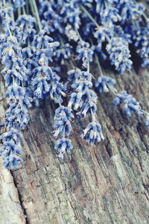 lavender on wooden surface