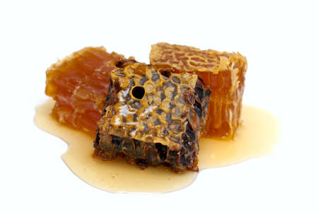 fresh honey in combs