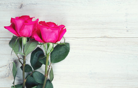 beautiful roses on wooden tableの写真素材