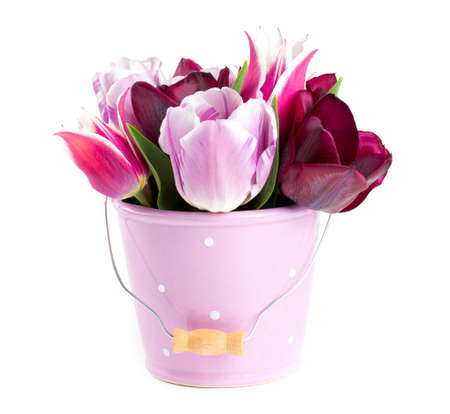 bouquet of tulips in a bucket isolated on whiteの写真素材