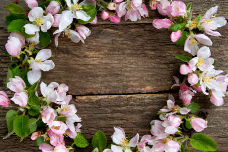 apple blossoms on wooden surfaceの写真素材