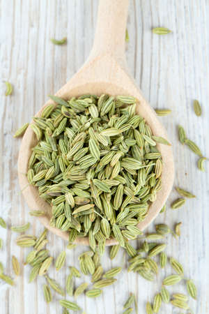fennel seed in a wooden spoon on tableの写真素材