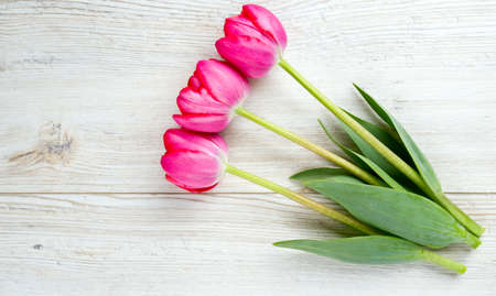 pink tulips on wooden surfaceの写真素材