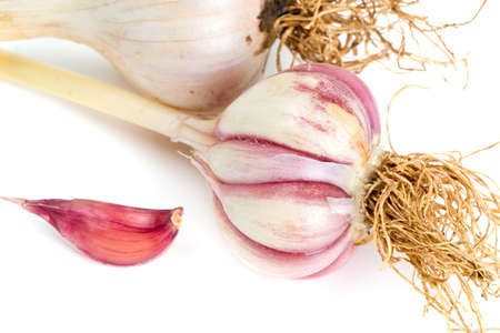 fresh garlic isolated on white