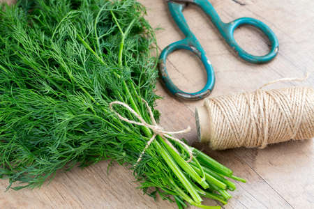 bunch of dill on wooden surfaceの写真素材